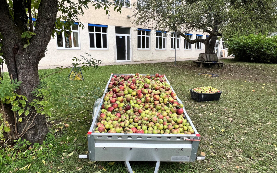 Apfelsaft vom eigenen Garten